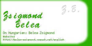 zsigmond belea business card